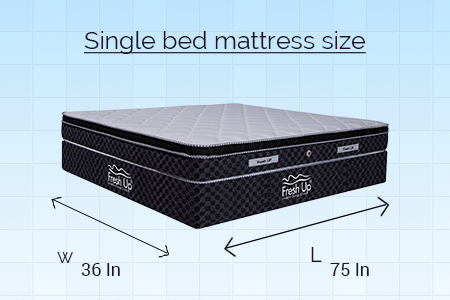 Mattress Size Chart Dimensions In, What Is The Average Length And Width Of A Twin Bed