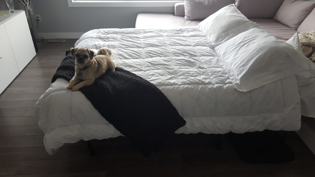fresh up mattress review
